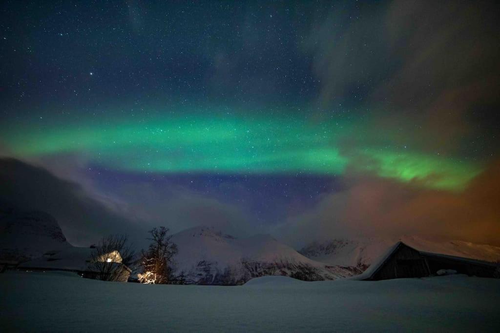 Holiday home Mountainside - Breivikeidet