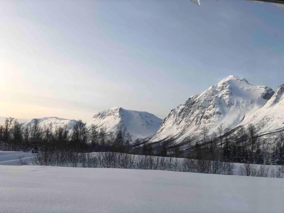 Mountainside - Breivikeidet Holiday home *