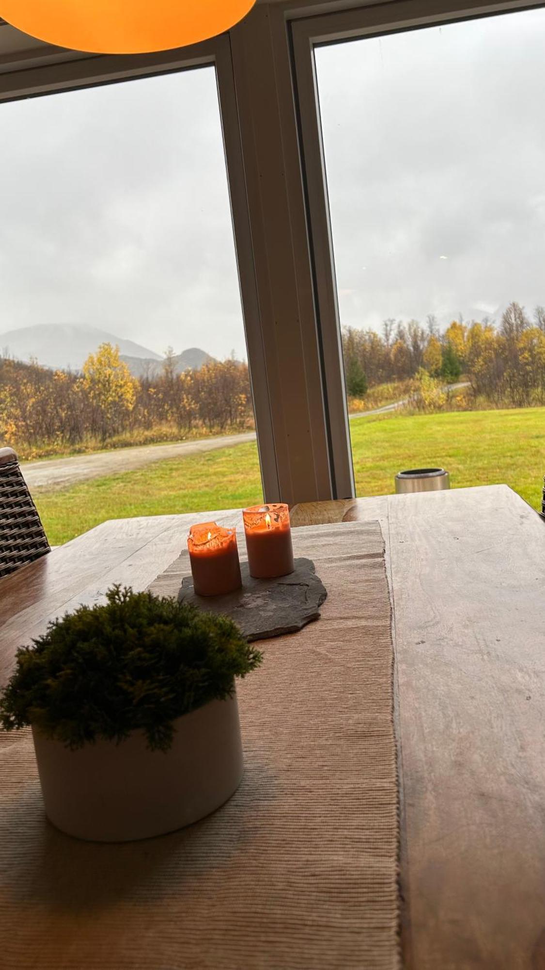 Mountainside - Breivikeidet Holiday home
