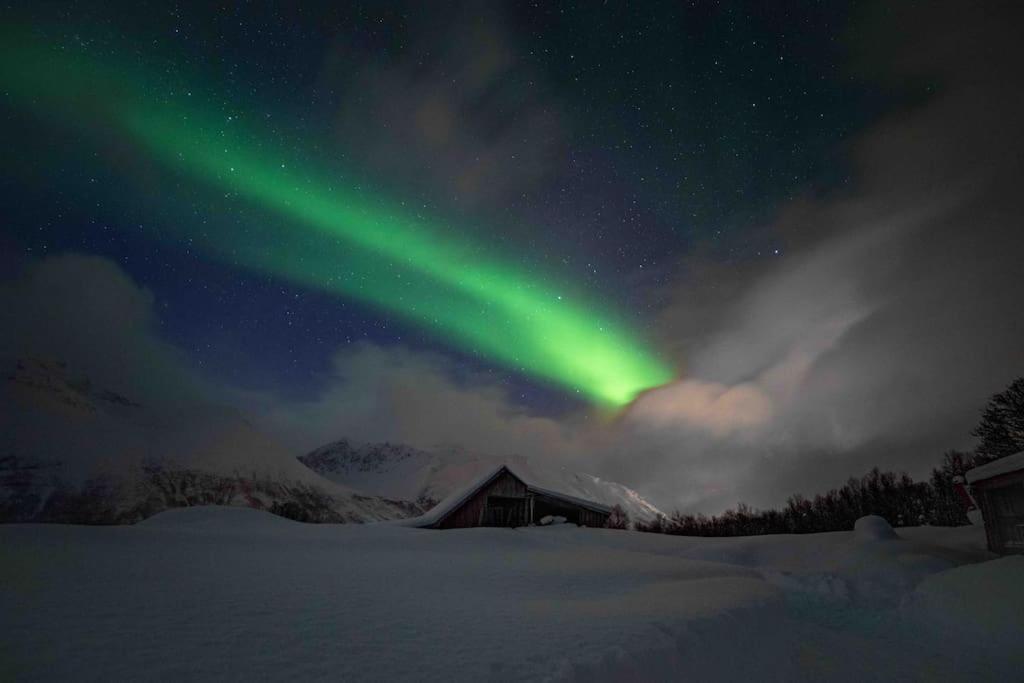 Mountainside - Breivikeidet Tromsø