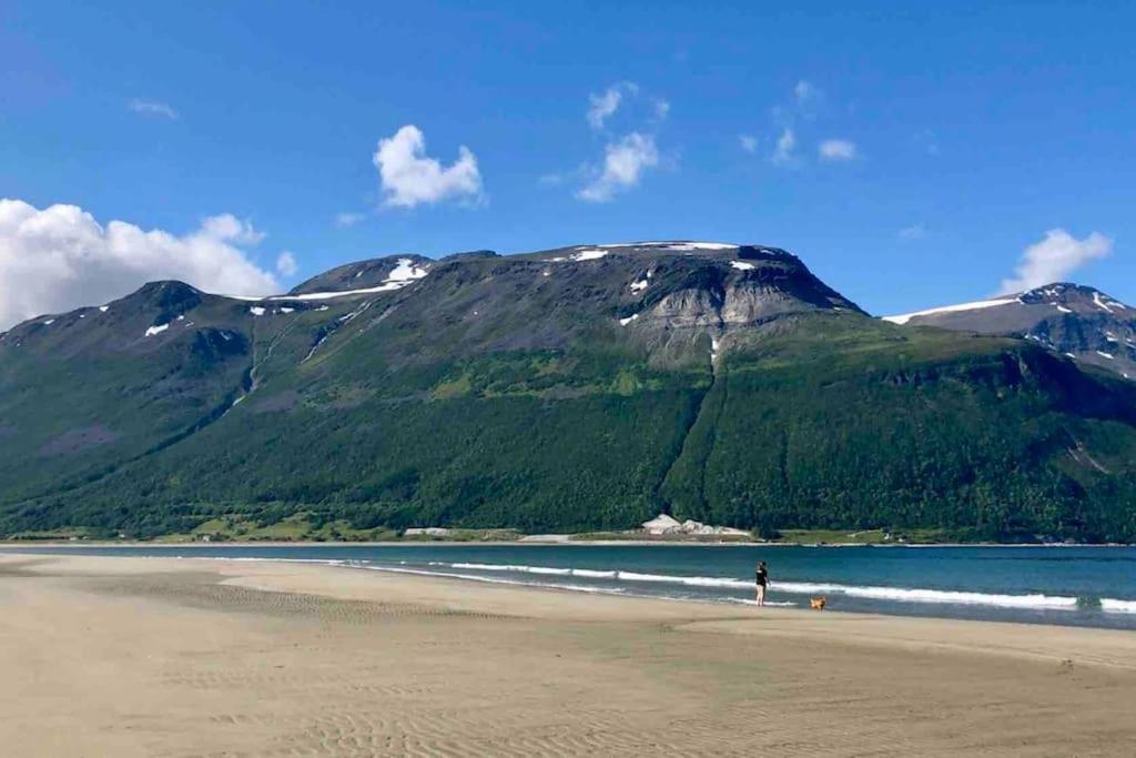 Mountainside - Breivikeidet Hébergement de vacances *