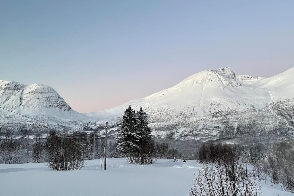 Mountainside - Breivikeidet Hébergement de vacances *