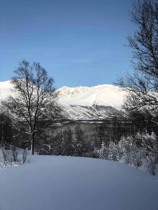 Mountainside - Breivikeidet * Tromsø