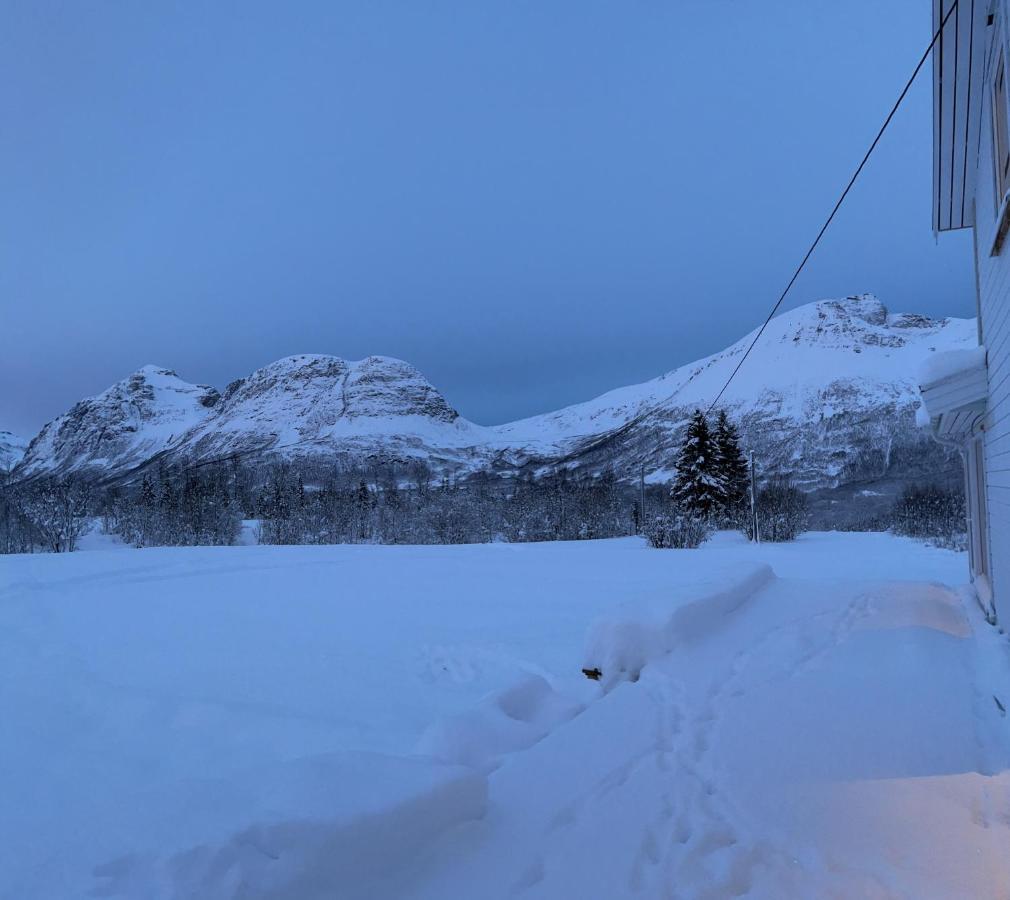 Mountainside - Breivikeidet *