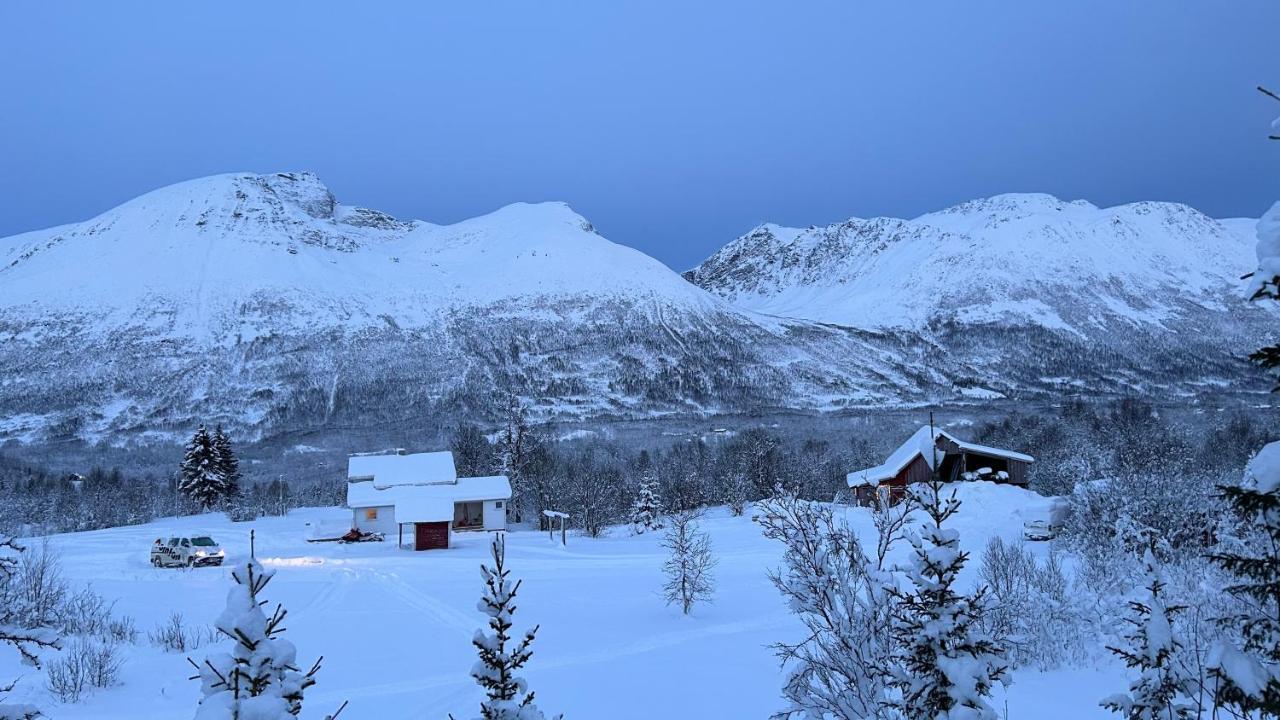 Mountainside - Breivikeidet *